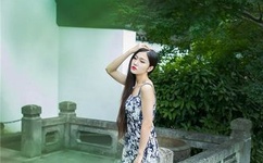 深圳小狼狗gluevy成功案例